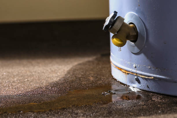 Best Water damage cleanup near me  in Flowery Branch, GA