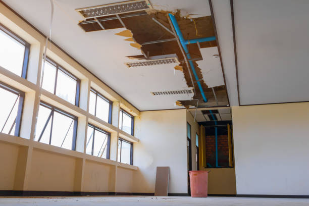  Flowery Branch, GA Water damage restoration Pros