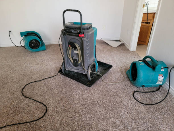 Best 24/7 water damage repair  in Flowery Branch, GA