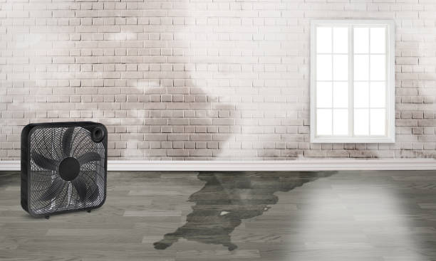 Best Commercial water damage restoration  in Flowery Branch, GA