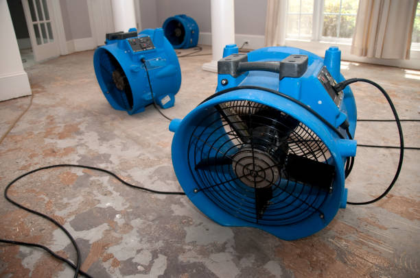 Best Flood restoration services  in Flowery Branch, GA