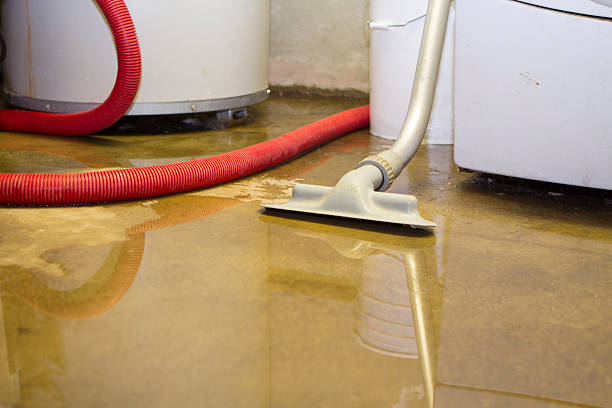 Best Water damage cleanup near me  in Flowery Branch, GA