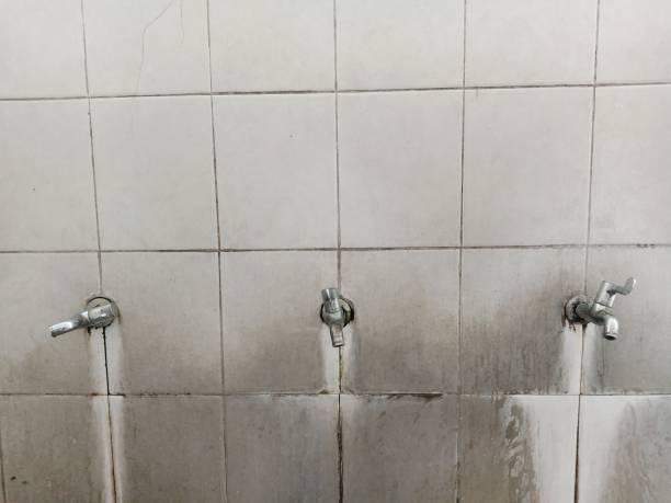 Best Ceiling water damage repair  in Flowery Branch, GA