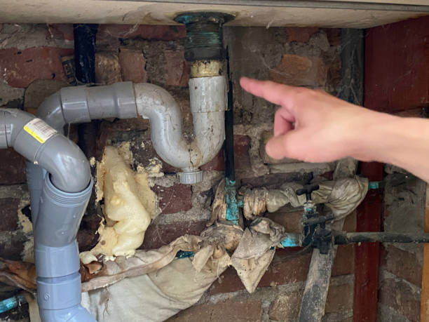 Best Basement water damage restoration  in Flowery Branch, GA