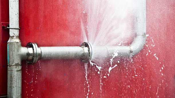 Best Local water damage restoration  in Flowery Branch, GA